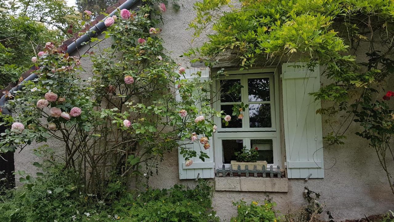 Chambres D'Hotes Les Renardieres Molineuf Zewnętrze zdjęcie